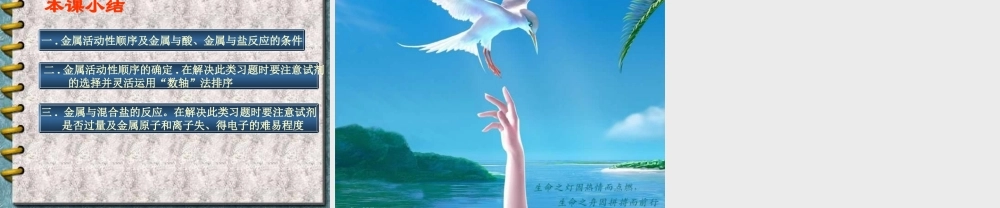 初三化学专题复习 金属活动性顺序与置换反应 课件