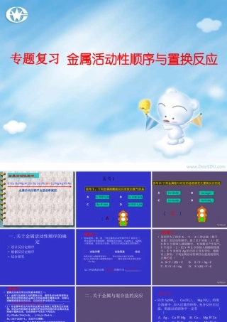 初三化学专题复习 金属活动性顺序与置换反应 课件