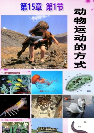 八年级生物上册 第十五章 第一节 动物运动的方式课件 北师大版 课件