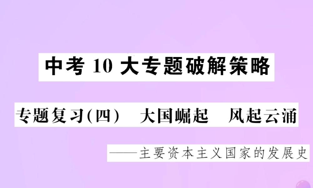 中考历史 中考十大专题破解策略 专题复习(四)大国崛起 风起云涌—主要资本主义国家的发展史课件