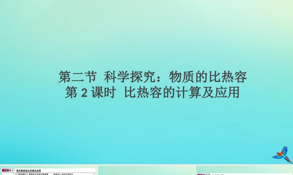 九年级物理全册 第十三章 内能与热机 第二节 科学探究 物质的比热容 第2课时 比热容的计算及应用(小册子)习题讲评课件 (新版)沪科版 课件