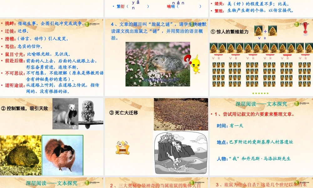 八年级语文下册 13.旅鼠之谜(浅层阅读+深层阅读+语文积累)课件 新人教版 课件