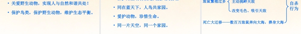 八年级语文下册 13.旅鼠之谜(浅层阅读+深层阅读+语文积累)课件 新人教版 课件