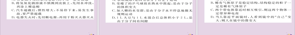 中考化学复习 第二编 重点题型突破篇 专题3 理化选择题(精练)课件