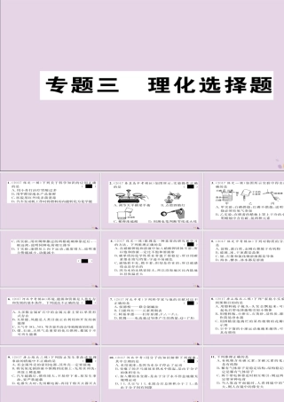 中考化学复习 第二编 重点题型突破篇 专题3 理化选择题(精练)课件