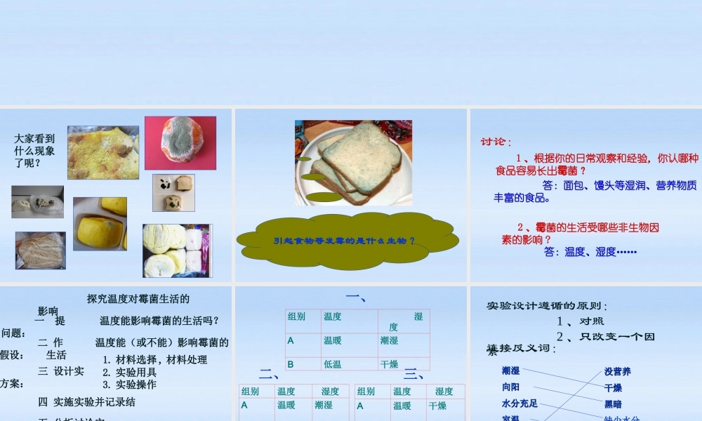七年级生物上册 探究温度对霉菌生活的影响课件 北师大版 课件