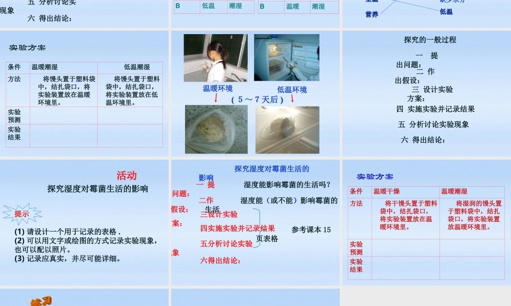 七年级生物上册 探究温度对霉菌生活的影响课件 北师大版 课件