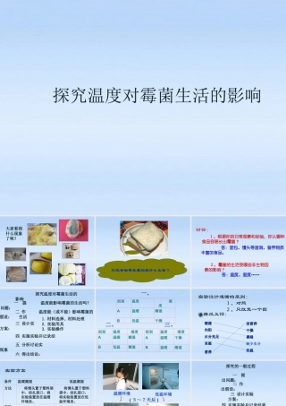七年级生物上册 探究温度对霉菌生活的影响课件 北师大版 课件