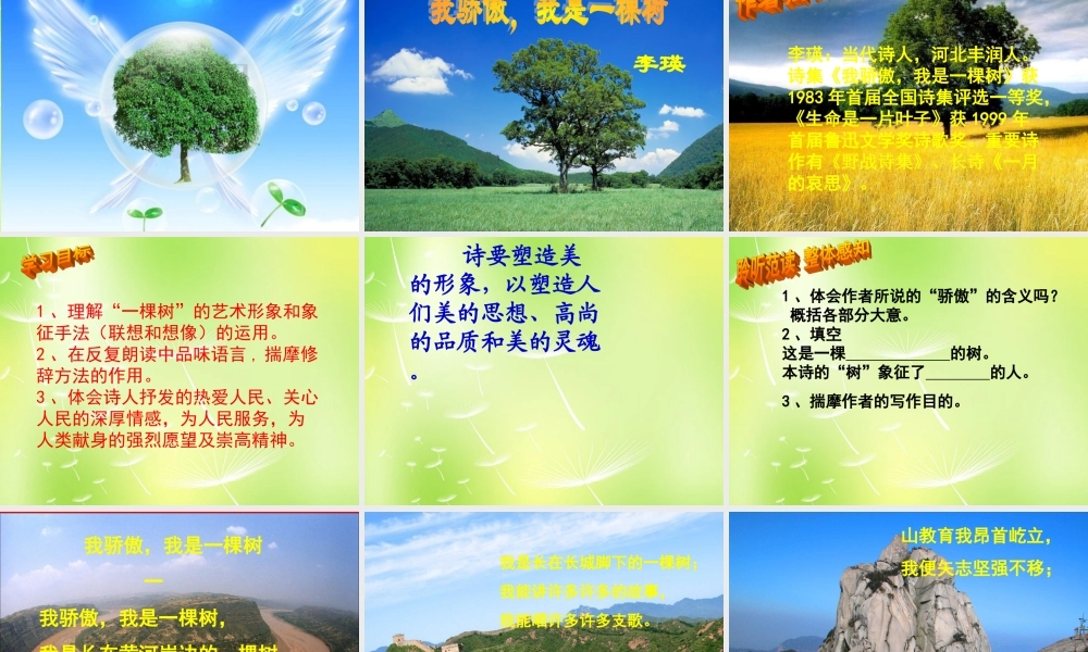 八年级语文下册 第五单元 24 我骄傲，我是一棵树课件2 (新版)苏教版 课件