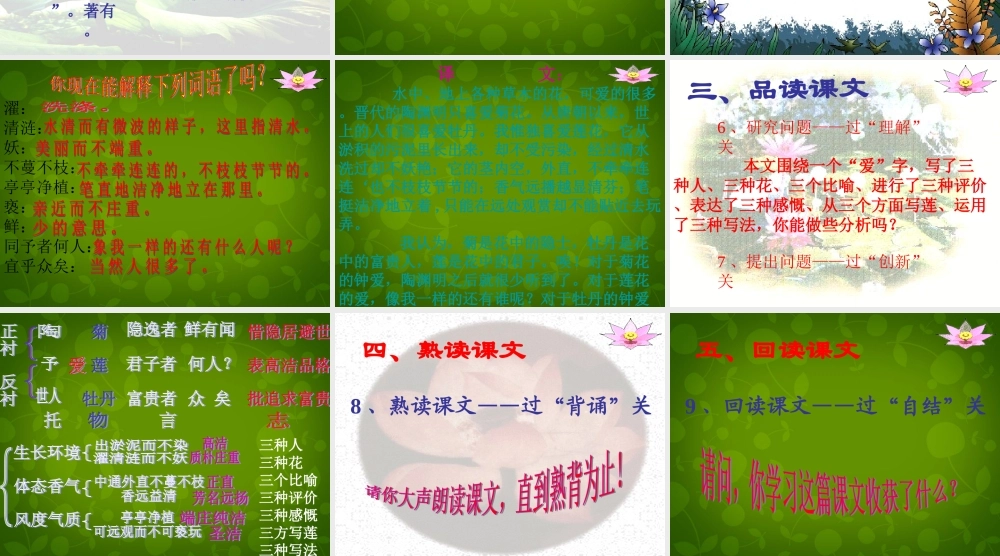 八年级语文上册 第五单元 22(短文两篇)爱莲说课件1 新人教版 课件