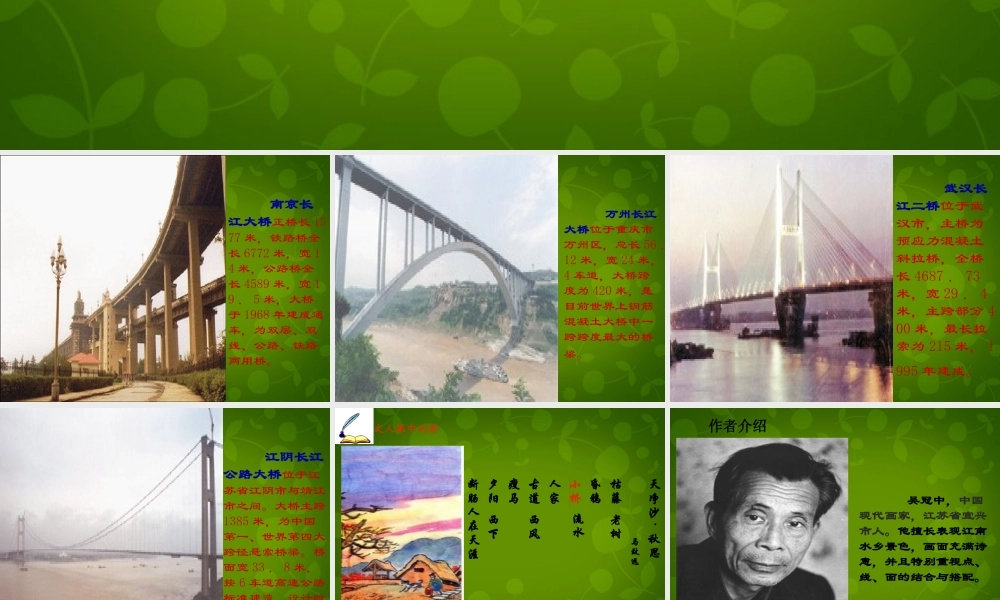 八年级语文上册 12 桥之美课件 新人教版 课件