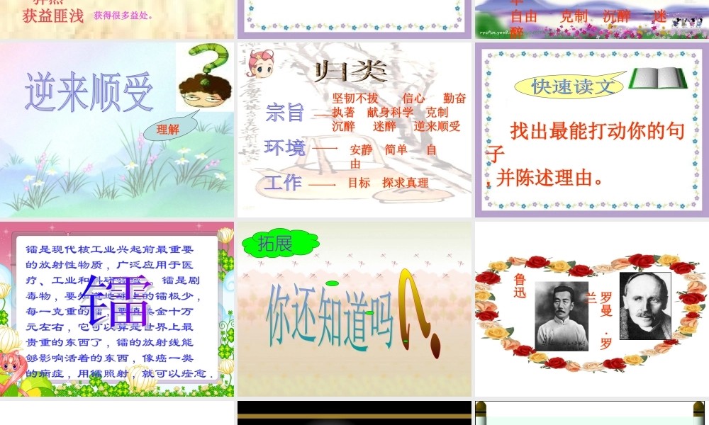 我的信念 (我的信念)课件1