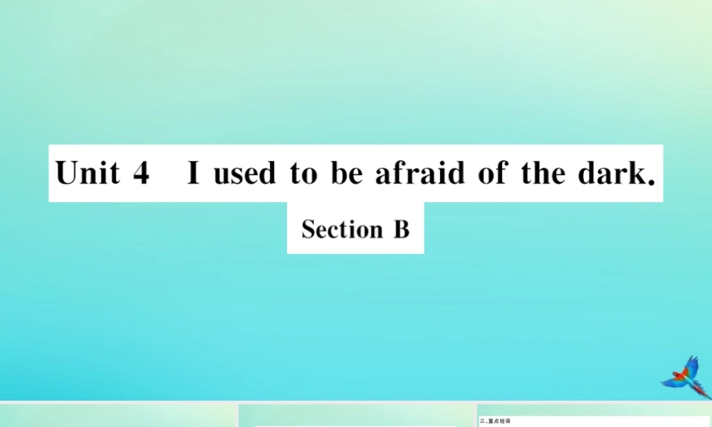 九年级英语全册 Unit 4 I used to be afraid of the dark Section B习题课件 (新版)人教新目标版 课件
