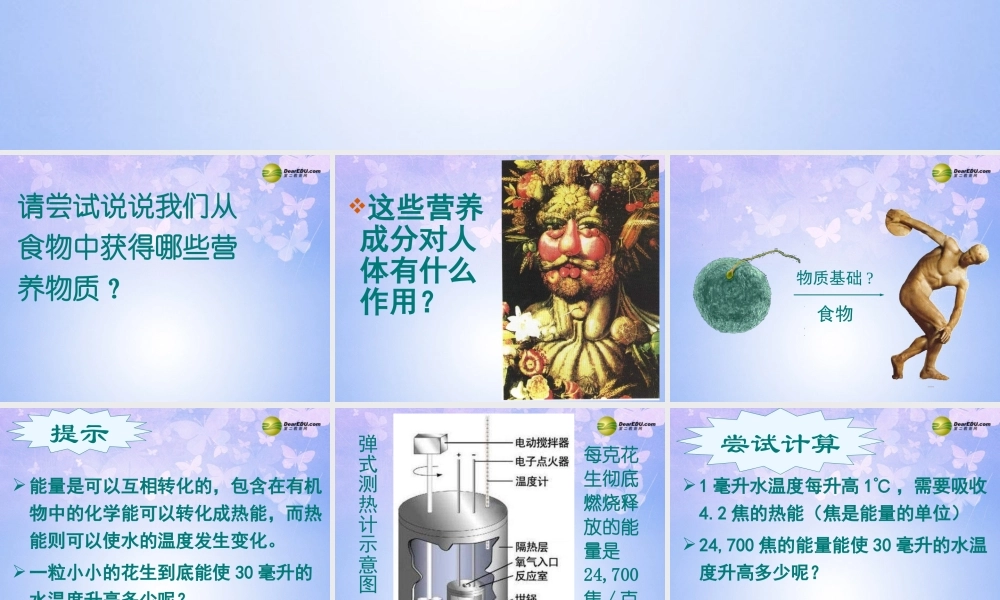 七年级生物上册 第5章 第1节 饮食与营养课件 苏科版 课件