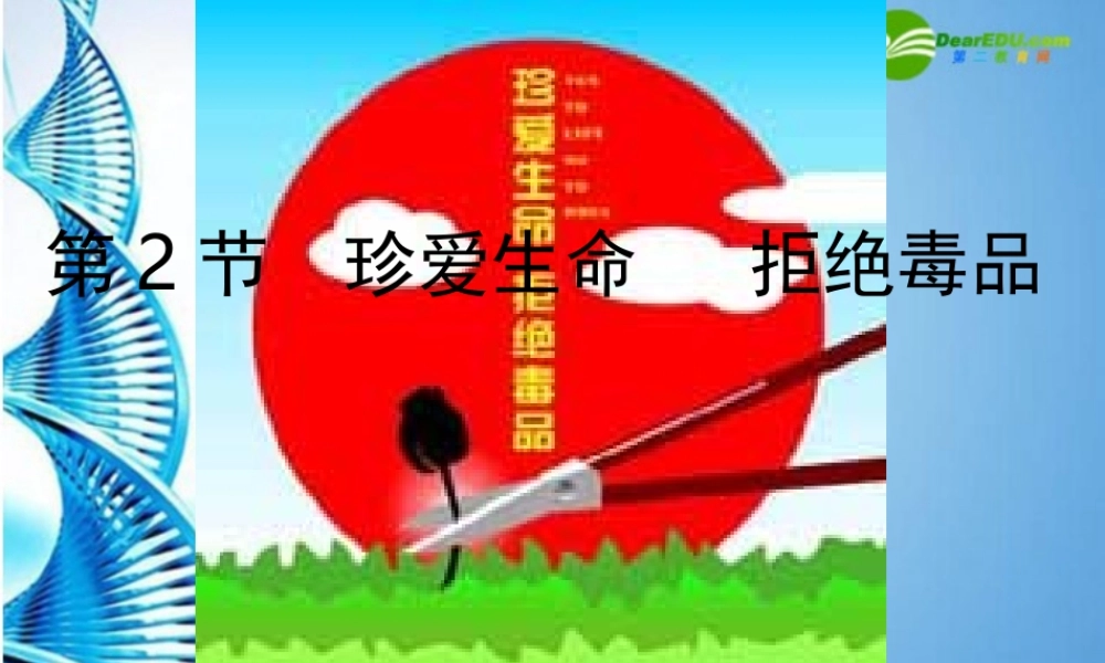 八年级生物下册 珍爱生命 拒绝毒品(一)课件 苏科版 课件