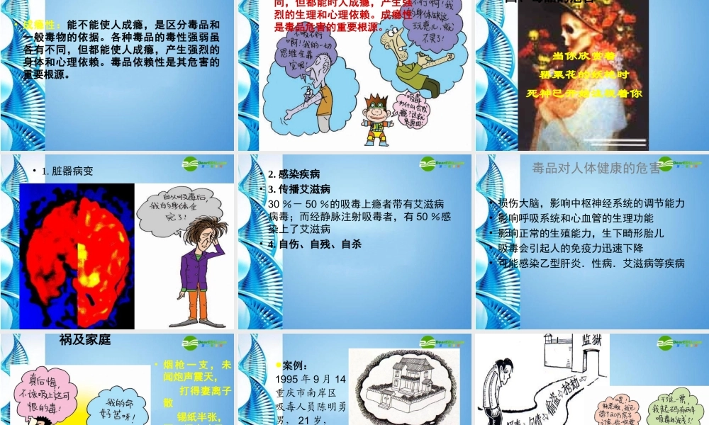 八年级生物下册 珍爱生命 拒绝毒品(一)课件 苏科版 课件