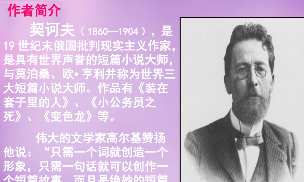 广东省东莞市石碣镇四海之星学校九年级语文下册 第7课(变色龙)课件 新人教版 课件
