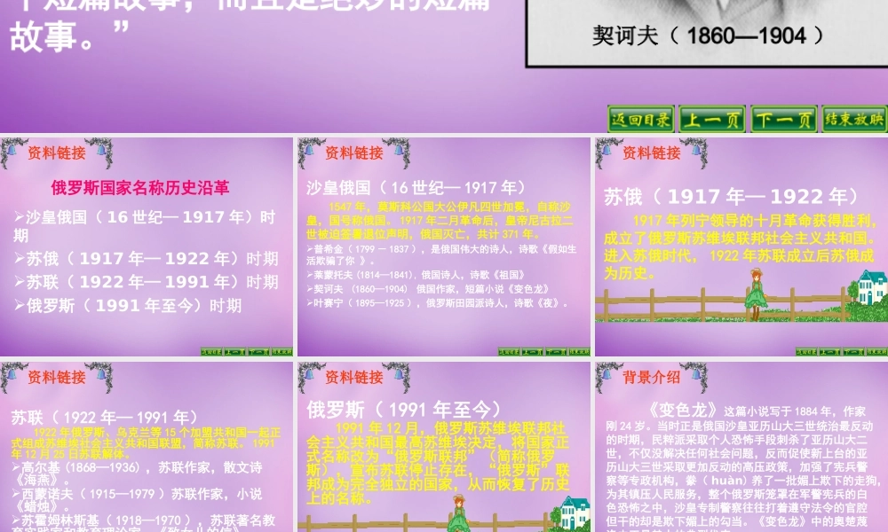 广东省东莞市石碣镇四海之星学校九年级语文下册 第7课(变色龙)课件 新人教版 课件
