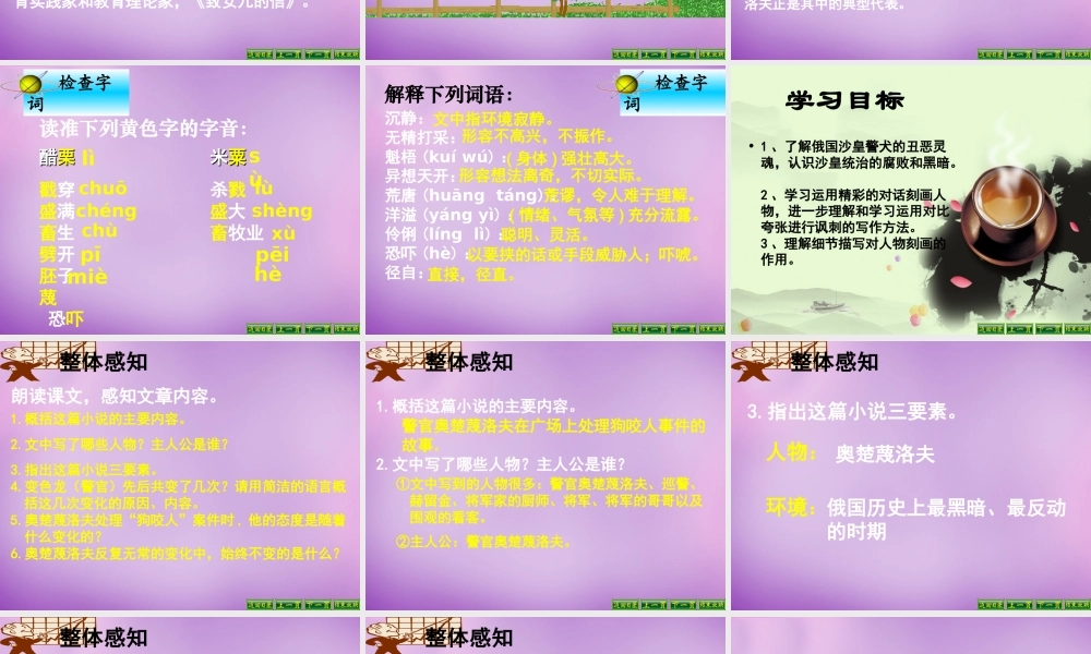 广东省东莞市石碣镇四海之星学校九年级语文下册 第7课(变色龙)课件 新人教版 课件