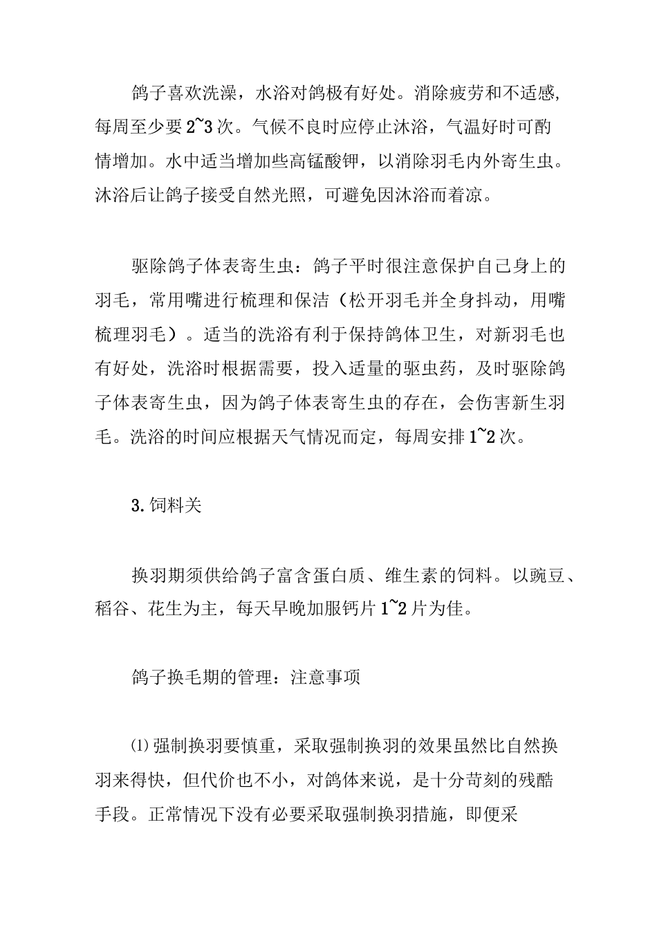 鸽子换毛期如何管理_第3页