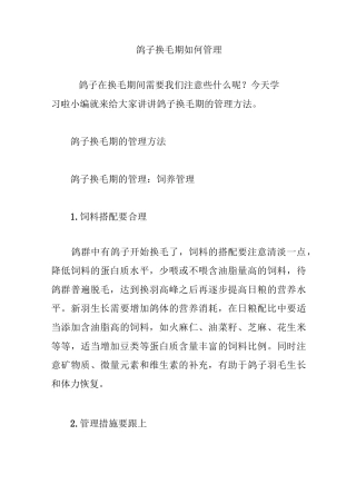 鸽子换毛期如何管理
