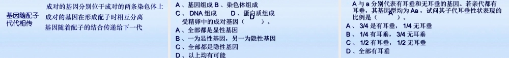 八年级生物上册 第3节性状遗传有一定的规律性课件 北师大版 课件