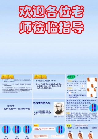 八年级生物上册 第3节性状遗传有一定的规律性课件 北师大版 课件