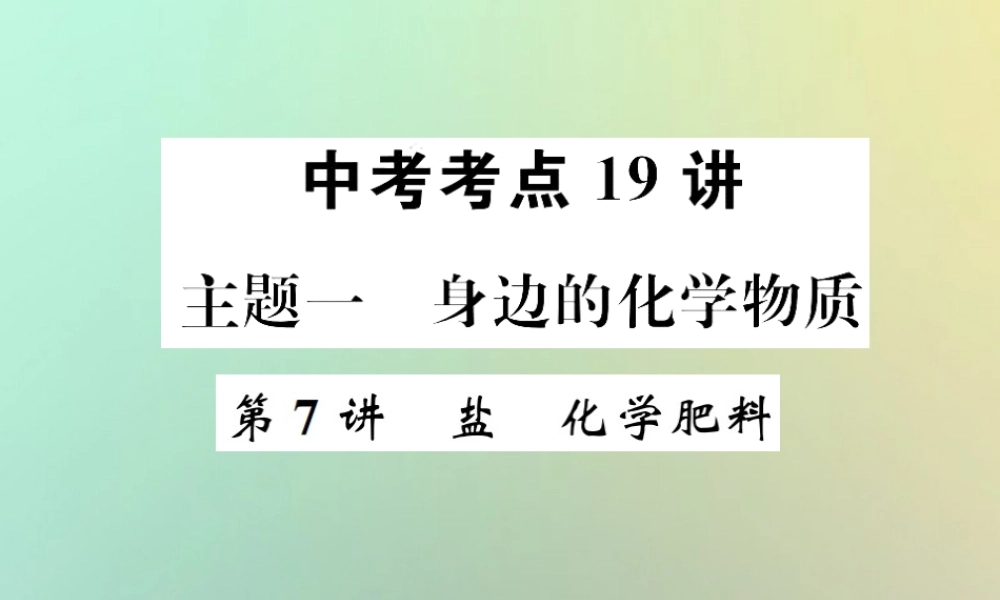 中考化学复习 主题一 身边的化学物质 第7讲 盐 化学肥料课件