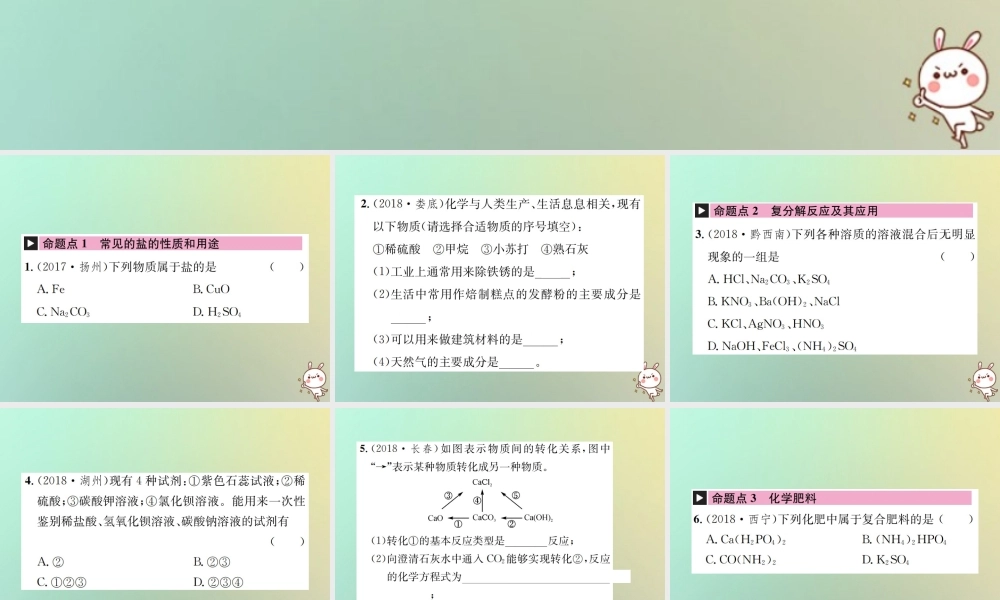 中考化学复习 主题一 身边的化学物质 第7讲 盐 化学肥料课件