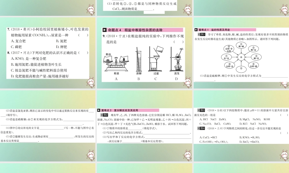 中考化学复习 主题一 身边的化学物质 第7讲 盐 化学肥料课件