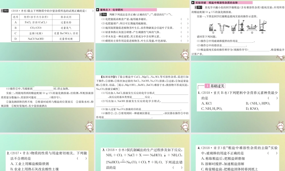 中考化学复习 主题一 身边的化学物质 第7讲 盐 化学肥料课件