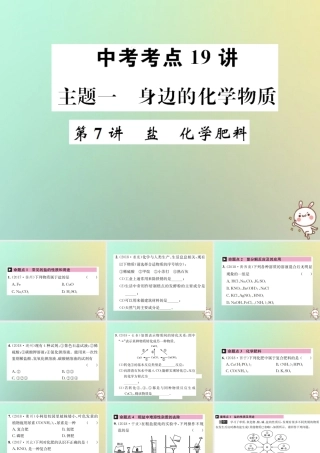 中考化学复习 主题一 身边的化学物质 第7讲 盐 化学肥料课件