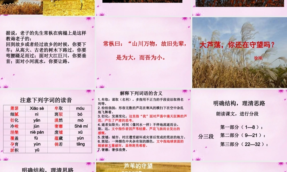 七年级语文上册 第八单元 第43课(大芦荡你还在守望吗)课件 上海五四制版 课件