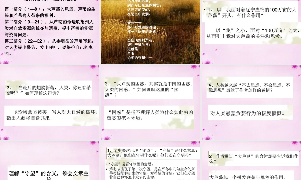 七年级语文上册 第八单元 第43课(大芦荡你还在守望吗)课件 上海五四制版 课件