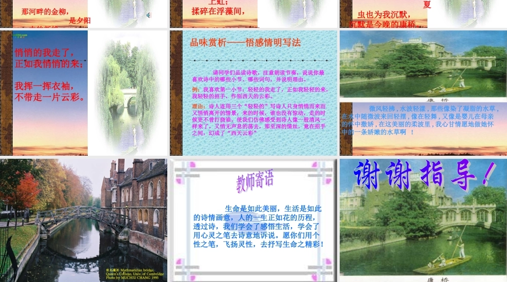 七年级语文上册(再别康桥)课件 苏教版 课件