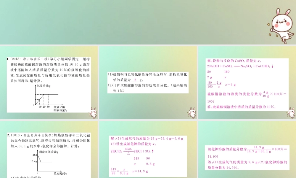 中考化学复习 题型复习(五)计算应用题 题型之三 坐标图象型课件
