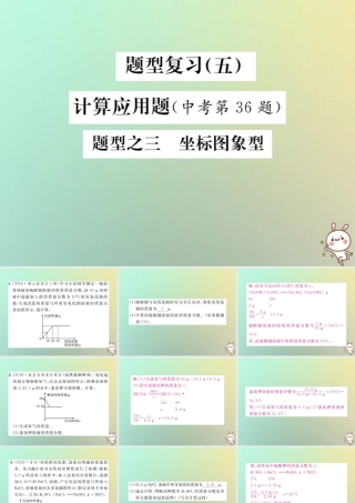 中考化学复习 题型复习(五)计算应用题 题型之三 坐标图象型课件