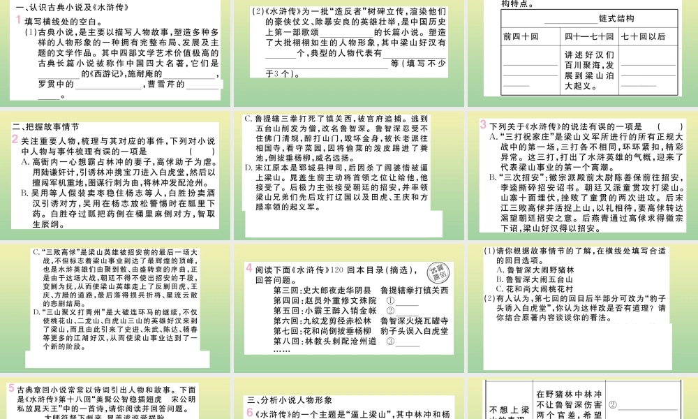九年级语文上册 第六单元 名著导读：水浒传作业课件 新人教版 课件