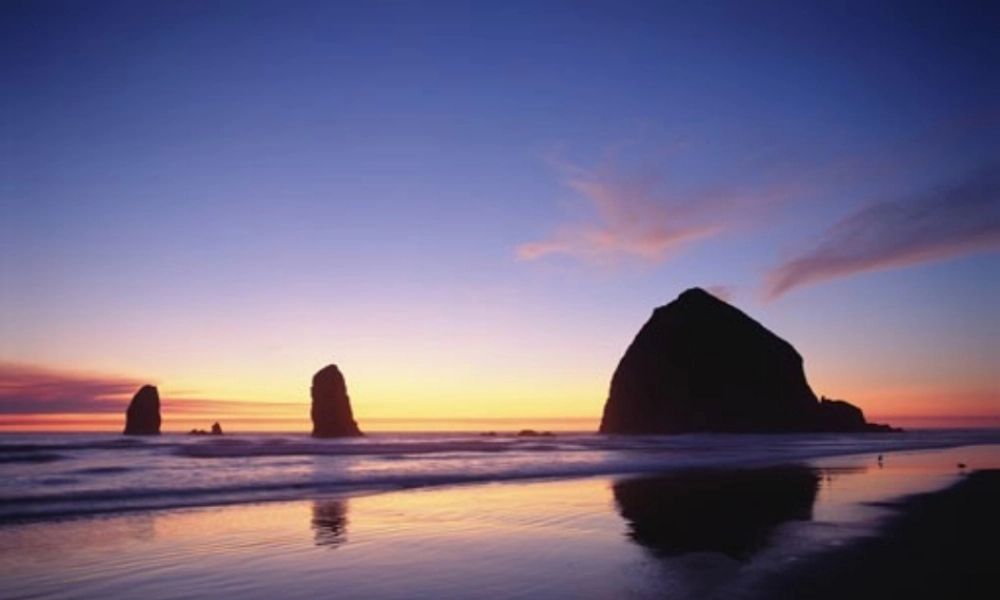 初三化学中考复习之环境保护 人教版 试题