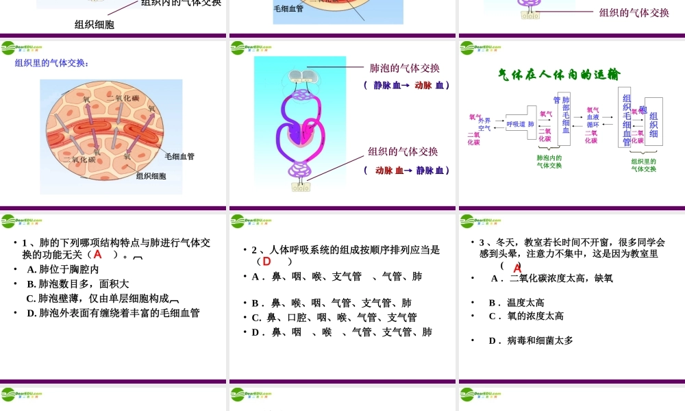 七年级生物下册 人体内的气体交换课件 苏教版 课件