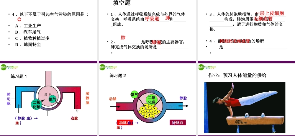 七年级生物下册 人体内的气体交换课件 苏教版 课件