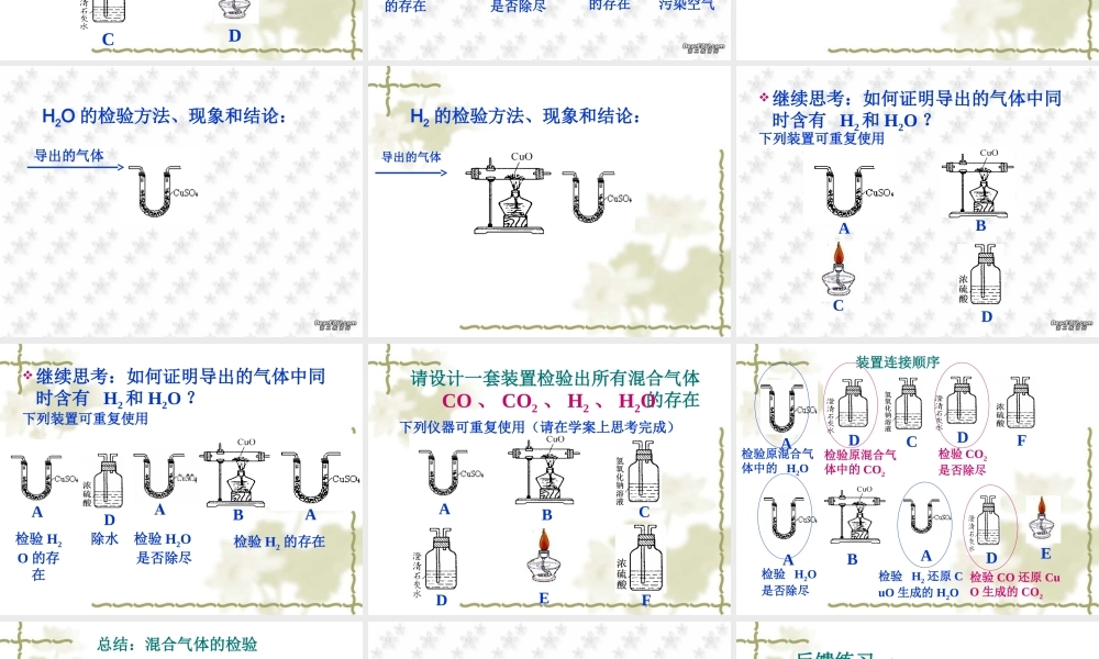 中考化学专题复习 混合气体的检验 新课标 试题