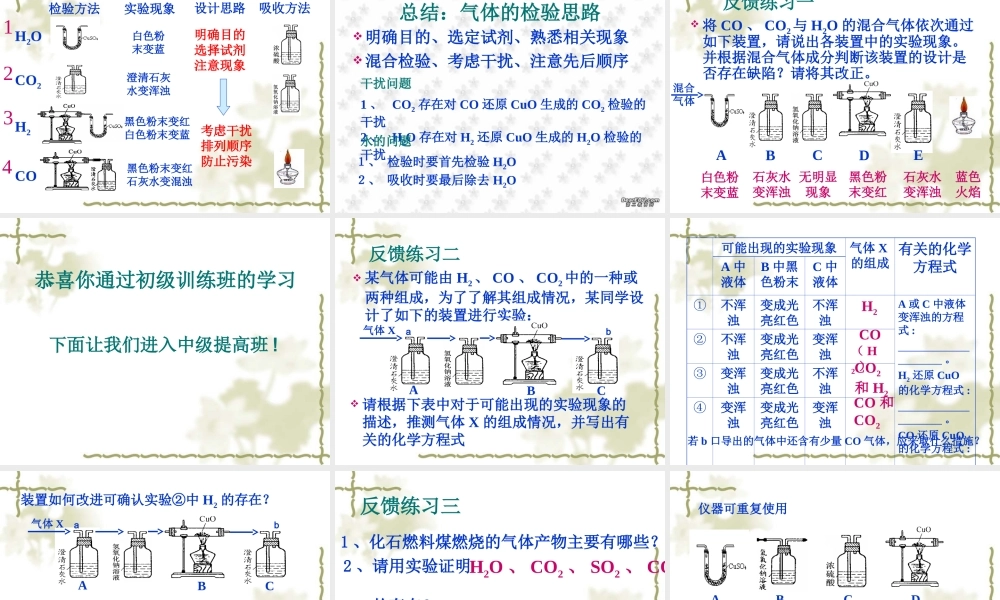 中考化学专题复习 混合气体的检验 新课标 试题
