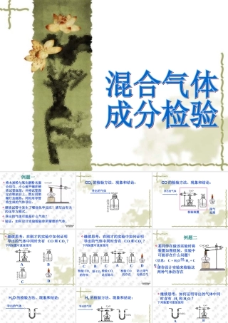 中考化学专题复习 混合气体的检验 新课标 试题