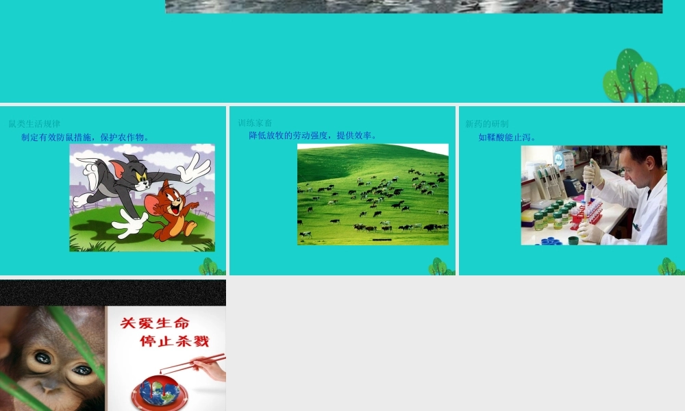 八年级生物上册 第九章 第二节 动物的行为 动物行为的意义课件 (新版)北京版 课件