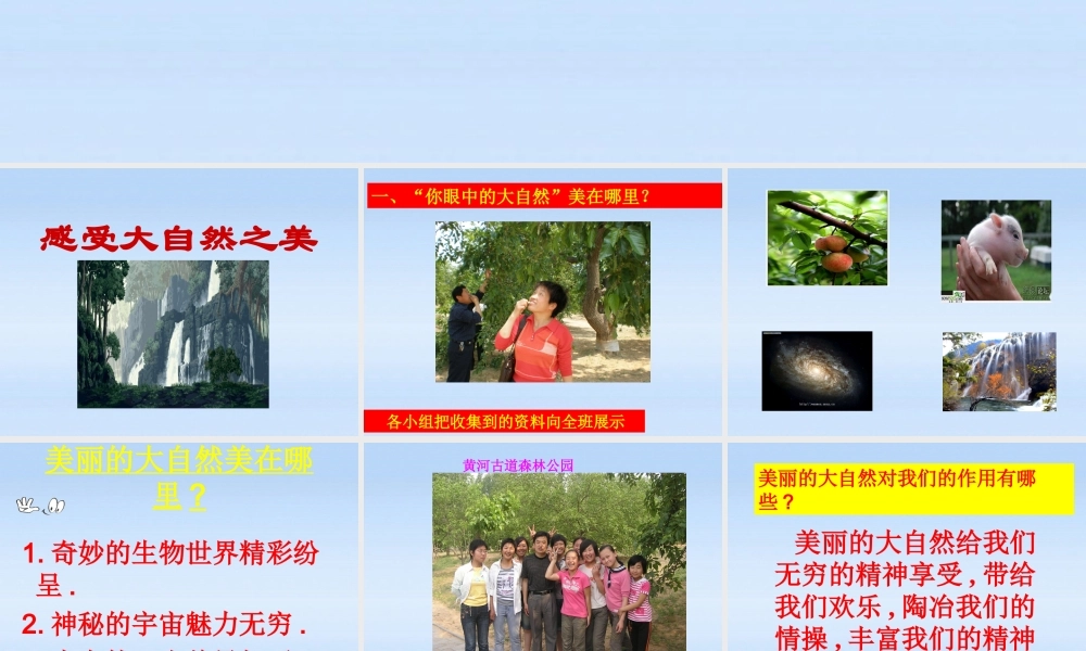 八年级政治下册 12.1(感受大自然之美)课件 鲁教版 课件