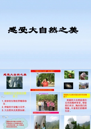 八年级政治下册 12.1(感受大自然之美)课件 鲁教版 课件