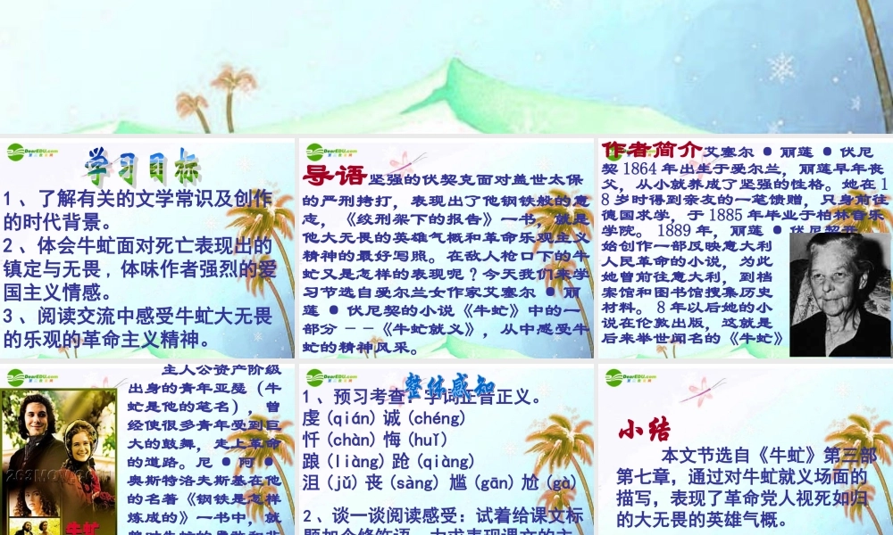 八年级语文下册(牛虻就义)课件 北师大版 课件