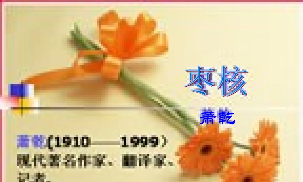 八年级语文枣核课件 苏教版 课件