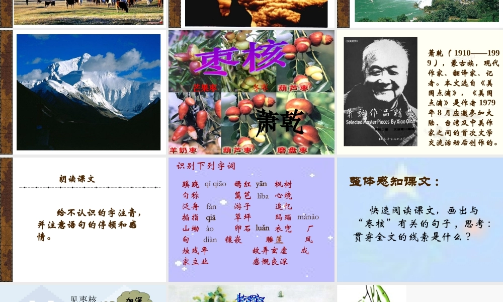 八年级语文枣核课件 苏教版 课件